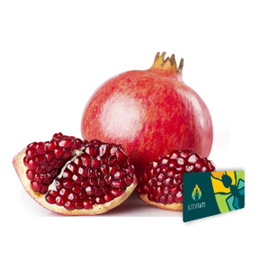 Pomegranate