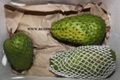 Soursop
