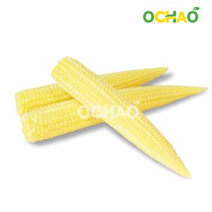 Frozen IQF Baby Corn