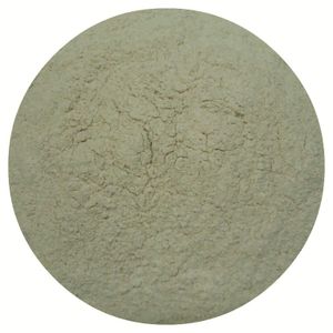 Onion powder