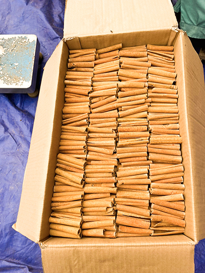 Cinnamon sticks