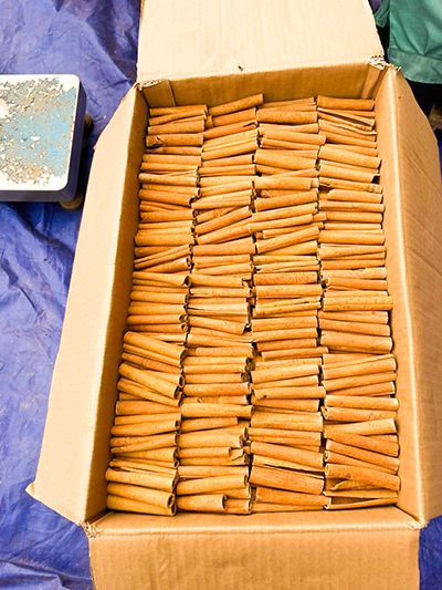 Cinnamon sticks