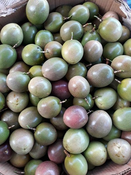 Passion fruit