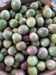 Passion fruit