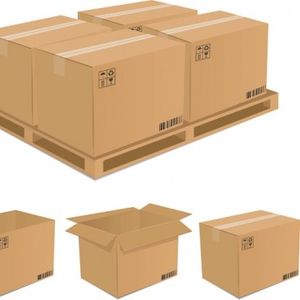 Cardboard Packaging