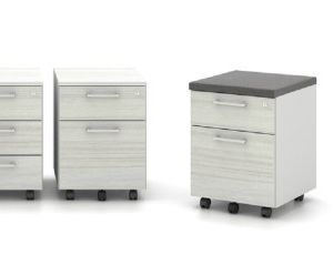 Personal storage cabinet