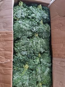 Kale