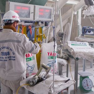 26868 factory image