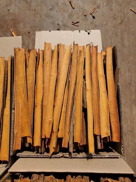 Cinnamon Sticks