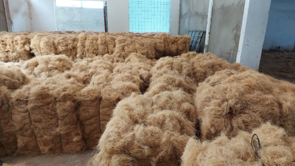 Fresh coconut coir