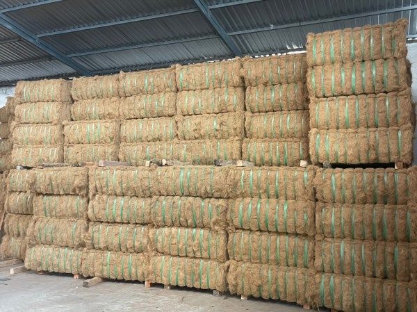 Coconut fiber