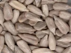Sunflower Seeds