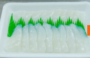Cuttlefish