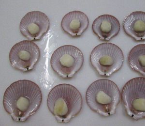 Scallops