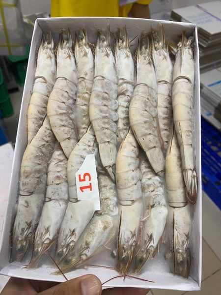 Frozen giant tiger prawns