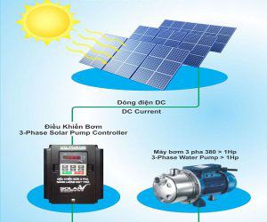 Solar-Powered Irrigation Solutions