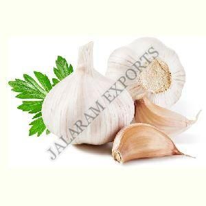 Fresh garlic