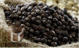 MACHINE CLEAN BLACK PEPPER 550GL/L
