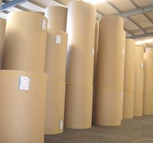 Kraft Paper Rolls