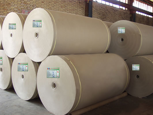 Kraft Paper Rolls
