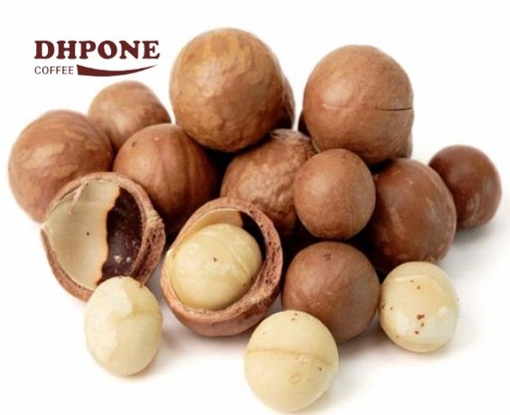 Macadamia Nuts
