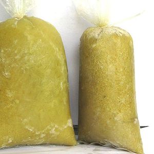 Frozen Ginger