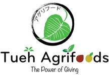 Company icon