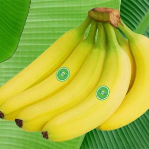 Unifarm banana