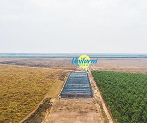 Unifarm Food