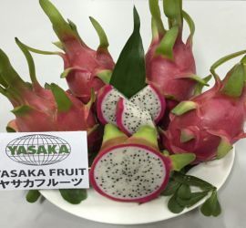 White flesh dragon fruit