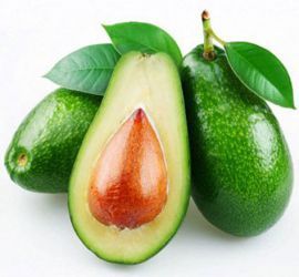 Avocado