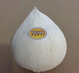 Coconut