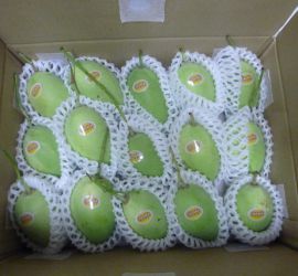 Green Cat Chu Mango