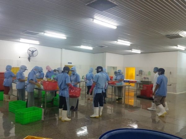 Seafood Processing