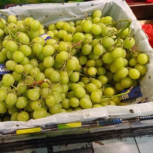 Green grape