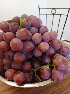 American grape