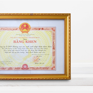 Certificate of Merit