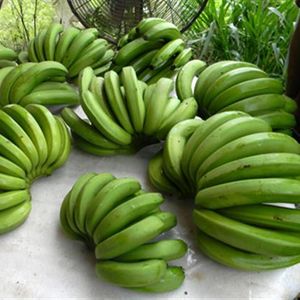 Laba banana