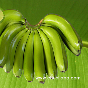 Laba banana