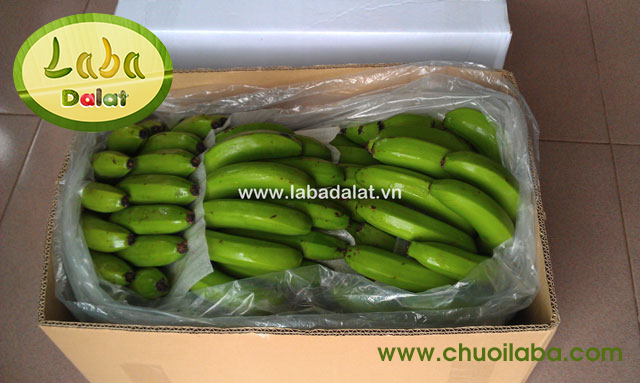 Laba banana