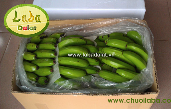 Laba banana