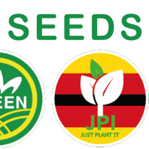 Company icon