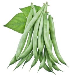Bean & Pea