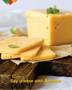 ANNATO 160 B - ADDITIVES, COLORANTS, AND PIGMENTS FOR FOOD USE