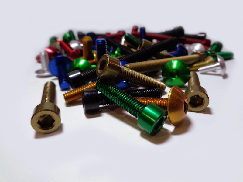 BRUSCHI MICROMECCANICA SRL precision turned screws