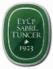 Company icon