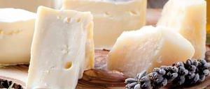 Milk Fat Substitutes Oilblend - Milk fat substitutes