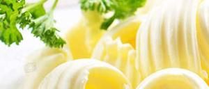 Milk Fat Substitutes "ekolakt" - Milk fat substitutes