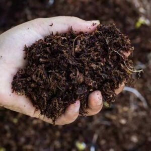 AJ Agro ApS Animal Feed