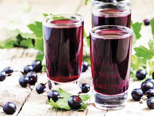 Lienig Wildfruchtverarbeitung GmbH Fruit Juice Concentrates